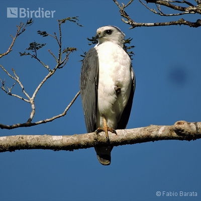 IUCN Red List