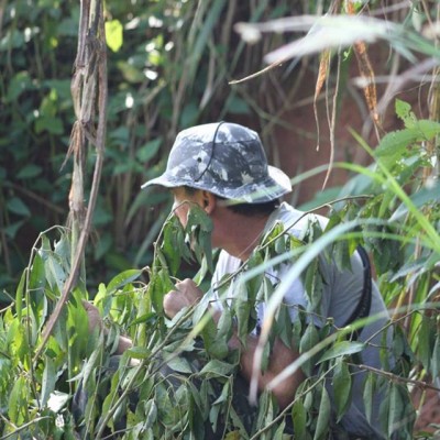 Carlos Dutra