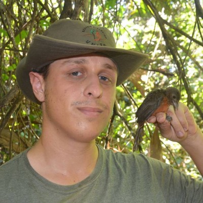 David Steinwender